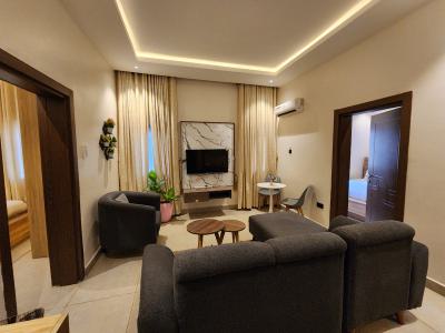 Luxuriously Furnished and Well Located 2 Bedroom Apartment at Abuja, Behind Godab Estate, Life Camp, Abuja, Mini Flat (room and Parlour) for Rent