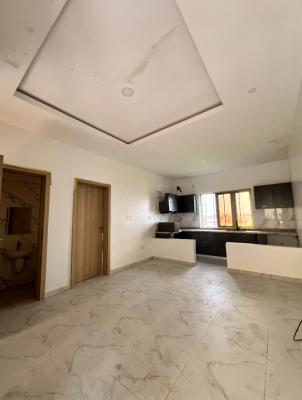 a Newly Built 1 Bedroom Apartment, Abraham Adesanya, Lekki Phase 2, Lekki, Lagos, Mini Flat (room and Parlour) for Rent