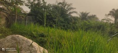 Nicely Positioned Land with High Prospect for Revenue Income, Iba-oloja Ibeju Lekki Lagos., Ibeju, Lagos, Residential Land for Sale