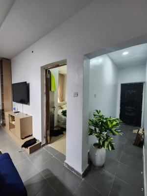 Fully Furnished Mini Flat with 2 Toilets & 2 Baths, Fitted Wardrobe, a, 📍 Kilo, Surulere, Lagos*, Kilo, Surulere, Lagos, Mini Flat (room and Parlour) for Rent