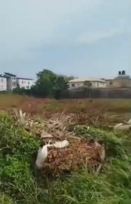 Joint Venture at Royal Garden Estate, Royal Garden Estate By Jubilee Bridge Ajah, Lekki Expressway, Lekki, Lagos, Residential Land Joint Venture