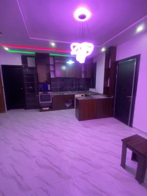 Brand New 2 Bedroom Flat, Ikate, Lekki, Lagos, Flat / Apartment for Rent