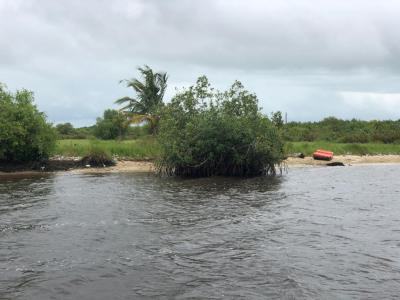 Waterfront 20hectares of Land, Ilashe,snake Island, Apapa, Lagos, Land for Sale