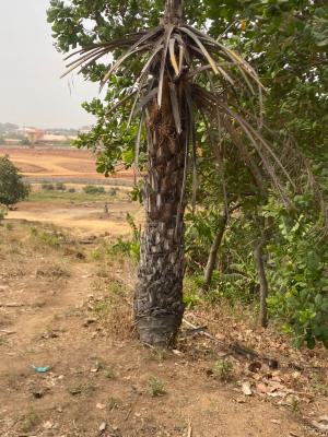 High Valued 5400sqm Land Size  Opposite Maitama, Opposite Maitama (maitama Extension), Mpape, Abuja, Residential Land for Sale