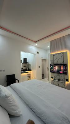 Twr Helsinki Studio Apartment with Free Breakfast, Jabi, Abuja, Flat / Apartment Short Let
