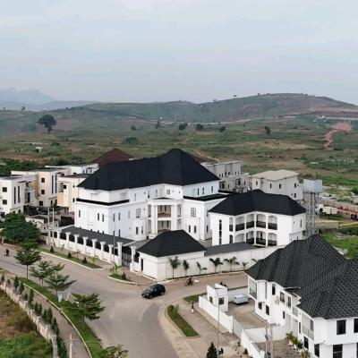 Newly Constructed 17 Bedroom Mansion with 4room Boys Quarters Elevator, Asokoro District, Abuja, House for Sale