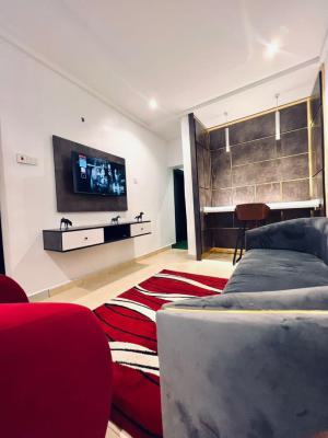 One Bedroom Shortstay Apartment, Bespoke, Wuye, Abuja, Mini Flat (room and Parlour) Short Let