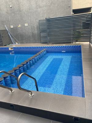 Brand New 2-bedroom Apartment, Abira Cout Ikate, Ikate, Lekki, Lagos, Flat / Apartment for Rent