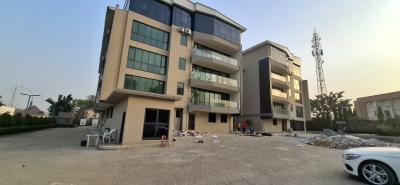 Standard and Lovely 3-bedroom Apartment with Bq, Wuse 2, Abuja, Flat / Apartment for Sale