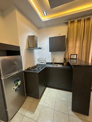 a Contemporary Furnished 1bedroom Apartment, Lekki Phase1 Proper, Lekki Phase 1, Lekki, Lagos, Mini Flat (room and Parlour) for Rent