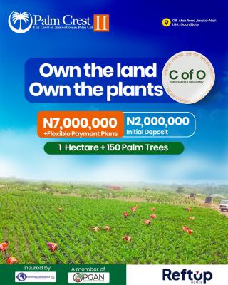 1 Hectare of Palm Tree Plantation, Yewa North, Imeko Afon, Ogun, Commercial Land for Sale