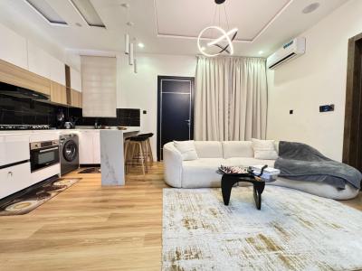 Luxury 1 Bedroom with Pool, Ps5, Snooker, Elevator in a Secure Estate, Ikate, Lekki, Lagos, Flat / Apartment Short Let