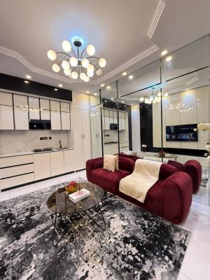 Brand New City View Alexa Two Bedroom Apartment with Swimming Pool, Gy, Victoria Island (vi), Lagos, Flat / Apartment Short Let