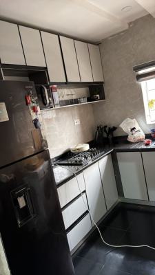 Luxuries 2 Bedrooms Apartment, Off Admiralty Road, Lekki Phase 1, Lekki, Lagos, Flat / Apartment for Rent