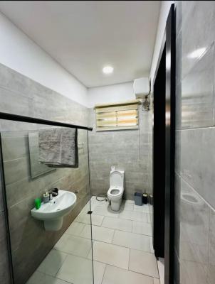 Three Bedroom Apartment, Lekki Phase 1, Lekki Phase 1, Lekki, Lagos, Flat / Apartment for Rent