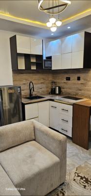 Studio Apartment, Olatunde Ayoola Avenue, Anthony, Maryland, Lagos, Mini Flat (room and Parlour) Short Let