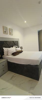 Standard and Fully Service Mini Flat in Leaks Right, Across Coastal Road, Lekki Phase 1, Lekki, Lagos, Mini Flat (room and Parlour) for Rent