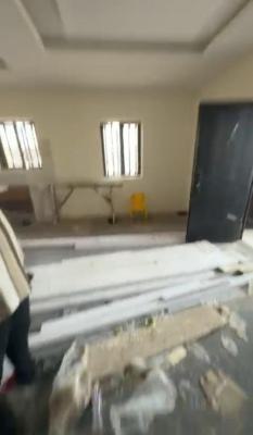 Newly Built, Spacious and Standard 2 Bedroom Flat, Off Shyllon, Ilupeju, Lagos, Flat / Apartment for Rent