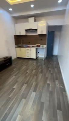 Serviced Standard Mini Flat with Modern Finishing in a Serene Area, Off Finbars Road, Akoka, Yaba, Lagos, Mini Flat (room and Parlour) for Rent