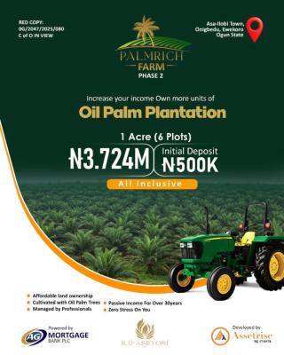 Farmland in Ogun State, Asp Iloba, Ewekoro, Ogun, Industrial Land for Sale