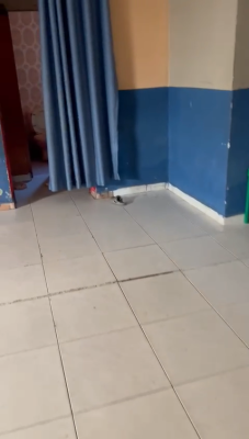 Bungalow 3bedroom Self Compound, Olokonla Ajah Lagos, Olokonla, Ajah, Lagos, Detached Bungalow for Sale