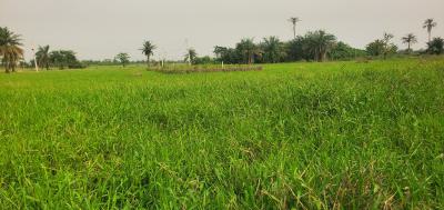 Half Plot of Land at Opic Gra Lagos, Opic Estate Lagos, Opic, Isheri North, Lagos, Residential Land for Sale