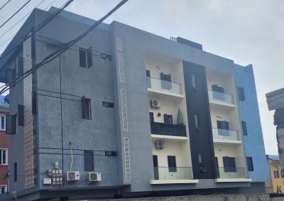 Newly Built 2 Bedroom Apartment, Off Bode Thomas, Surulere, Lagos, Flat / Apartment for Sale