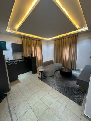 Fully Furnished One Bedroom Miniflat, Lekki Phase 1, Lekki, Lagos, Mini Flat (room and Parlour) for Rent
