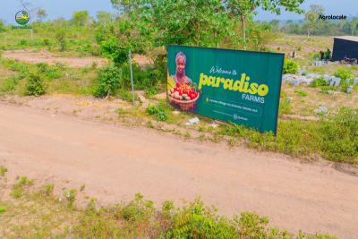 Own an Acre of Farm Land, Ayireke Village, Via Alabata, Odeda, Ogun, Commercial Land for Sale