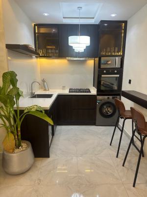 Fully Furnished Spacious Luxury Studio Apartment, Off Freedom Way, Lekki Phase 1, Lekki, Lagos, Flat / Apartment for Sale