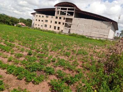 7,500sqm Commercial Petrol Station Land, Goldenspring Estate, Duboyi, Abuja, Commercial Land for Sale