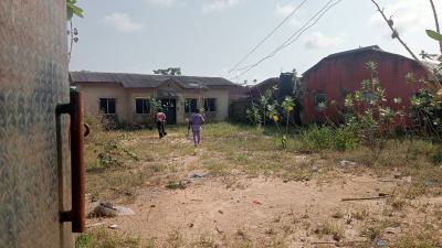 Buyers Demand, Fenced & Gated Full Plot of Land Containing 2 Bed Bunga, Kajola Phase 1 Major Road, By Bogije Town, Bogije, Ibeju Lekki, Lagos, Mixed-use Land for Sale