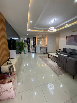 Fully Furnished 2 Bedroom Apartment, By Cedar Crest, Apo, Abuja, Flat / Apartment for Sale