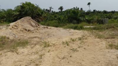 Oil Palm Farmland, Oke Sapen, Ijebu East, Ogun, Commercial Land for Sale