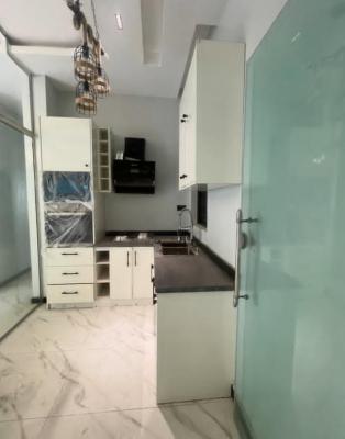 Newly Built 2 Bedroom Apartment, Freedom Way, Lekki Phase 2, Lekki, Lagos, Flat / Apartment for Rent