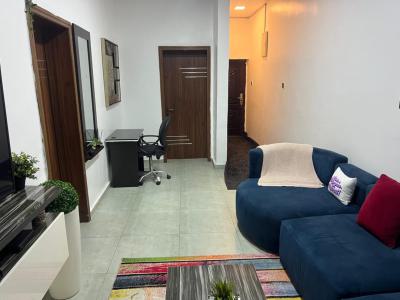 Luxury Fully Furnished 1 Bedroom Apartment, Ikate, Lekki, Lagos, Mini Flat (room and Parlour) for Rent