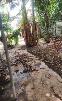 Just Out F Now  Bungalow Alone in The Compound  at  Location: , Off Ad, Off Adeniran Ogunsanya, Surulere, Lagos, Residential Land for Sale