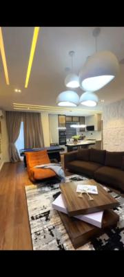 Furnished 2 Bed Apartment with   Swimming Pool, Elevator,  and Gym, Ikate, Lekki, Lagos, Flat / Apartment for Sale