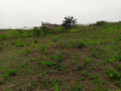 Standard 1 Full Plot of Land, Mojoda, Near Tollgate., Epe, Lagos, Residential Land for Sale