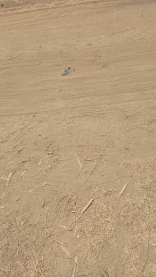 650sqm Estate Land, Kyc Estate Nut Road Behind Safah Filling Station, Sabon Lugbe, Lugbe District, Abuja, Residential Land for Sale