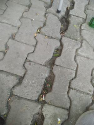 a Fantastic 793.03 Squre Metres Plot, Peace Garden City Estate, Sangotedo, Ajah, Lagos, Residential Land for Sale