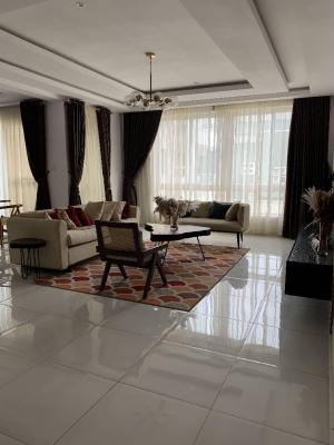 Luxury and Spacious 2 Bed with Pool,24/7 Light and Elevator, Ikoyi, Ikoyi, Lagos, House for Rent