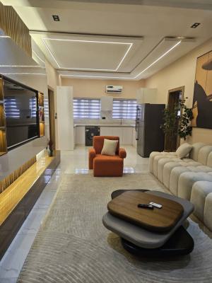 Luxury 2 Bedroom Flat with Excellent Facilities, Abike Animashaun, Lekki Phase 1, Lekki, Lagos, Flat / Apartment for Rent