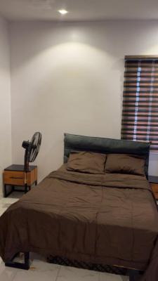 Furnished Studio Apartment for Weekly and Monthly Stay with 24hrs Ight, New Road Opp Chevy View Estate, Lekki, Lagos, Self Contain (single Rooms) for Rent