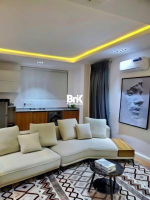 Fully Furnished Luxury 1-bedroom Apartment, Ikoyi, Lagos, Mini Flat (room and Parlour) for Rent