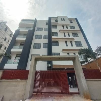 Lovely 2 Bedroom Apartment with Pool,gym and Elevator, Ikate, Lekki, Lagos, Flat / Apartment for Sale