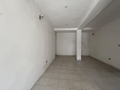 2 Bedroom Apartment, Ikate, Lekki, Lagos, Flat / Apartment for Rent