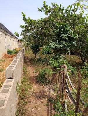 Standard 2 Plots of Land, Papa, Alakia, Ibadan, Oyo, Mixed-use Land for Sale