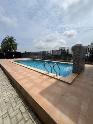 Fully Serviced Furnished 3-bedroom Apartment, Ikoyi, Lagos, Flat / Apartment for Rent