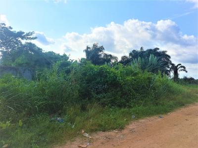 7.5 Acres of Mixed Used Land, Arepo, Berger, Arepo, Ogun, Mixed-use Land for Sale
